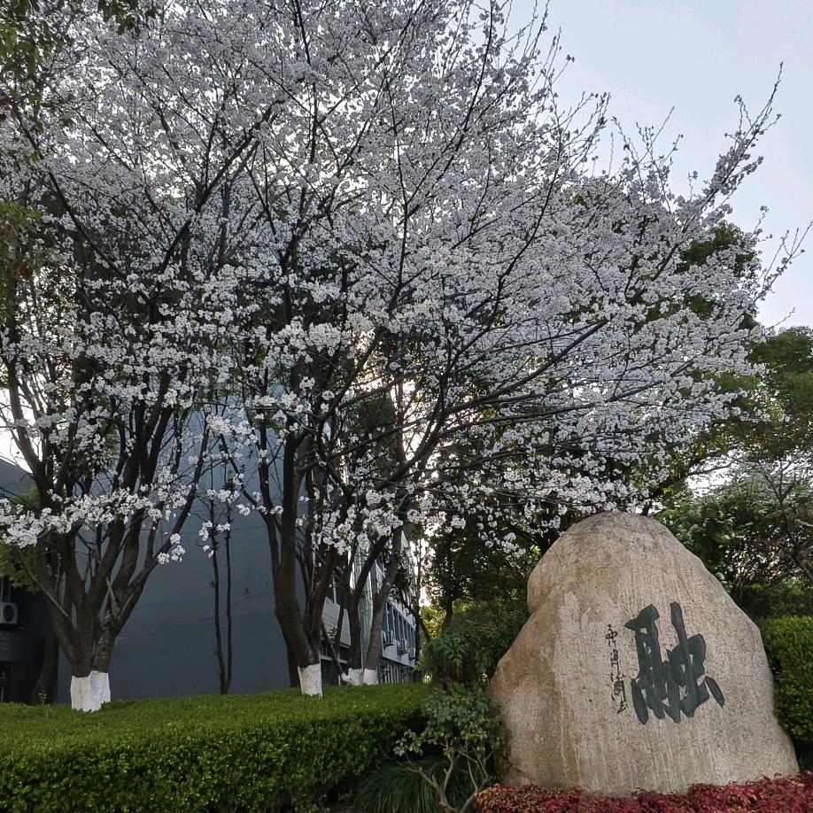 溜溜
