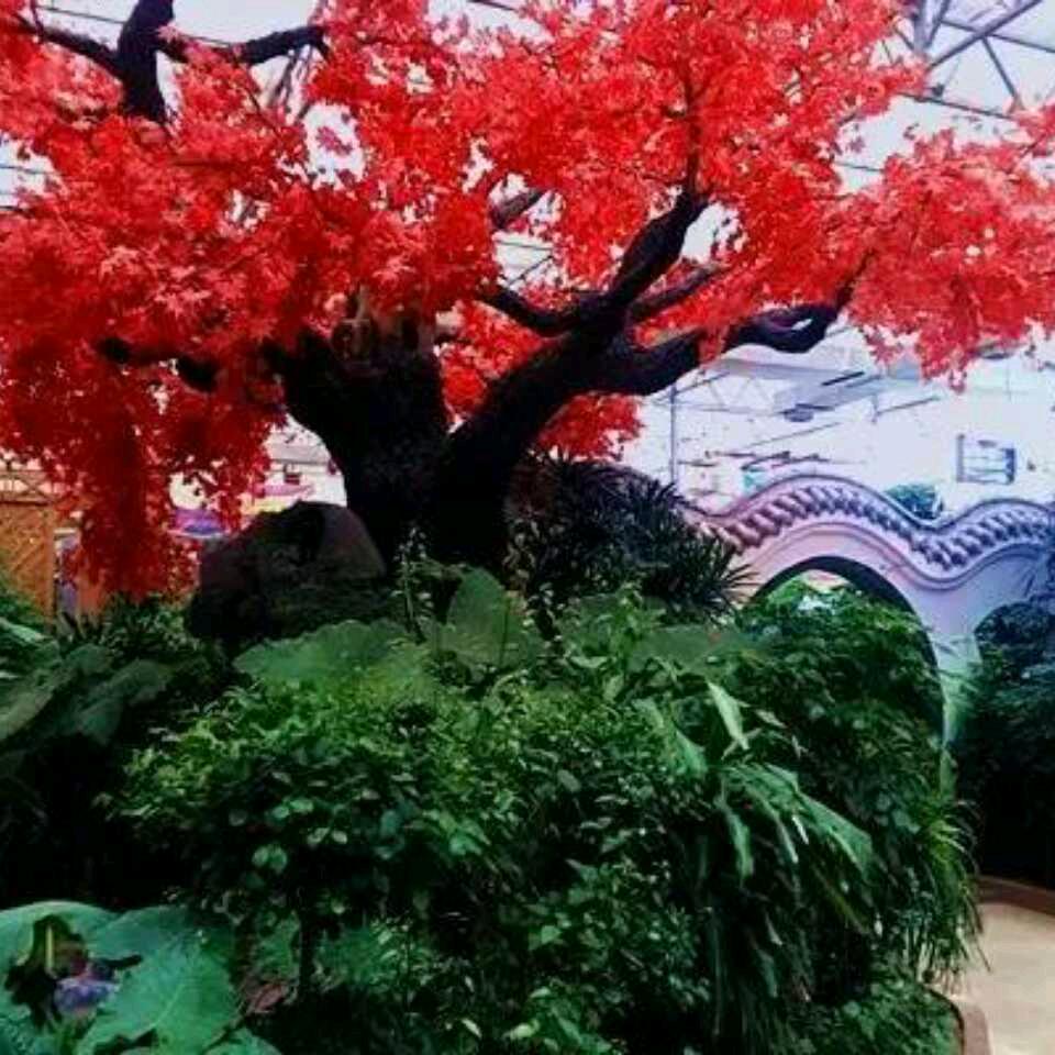 珍爱一生
