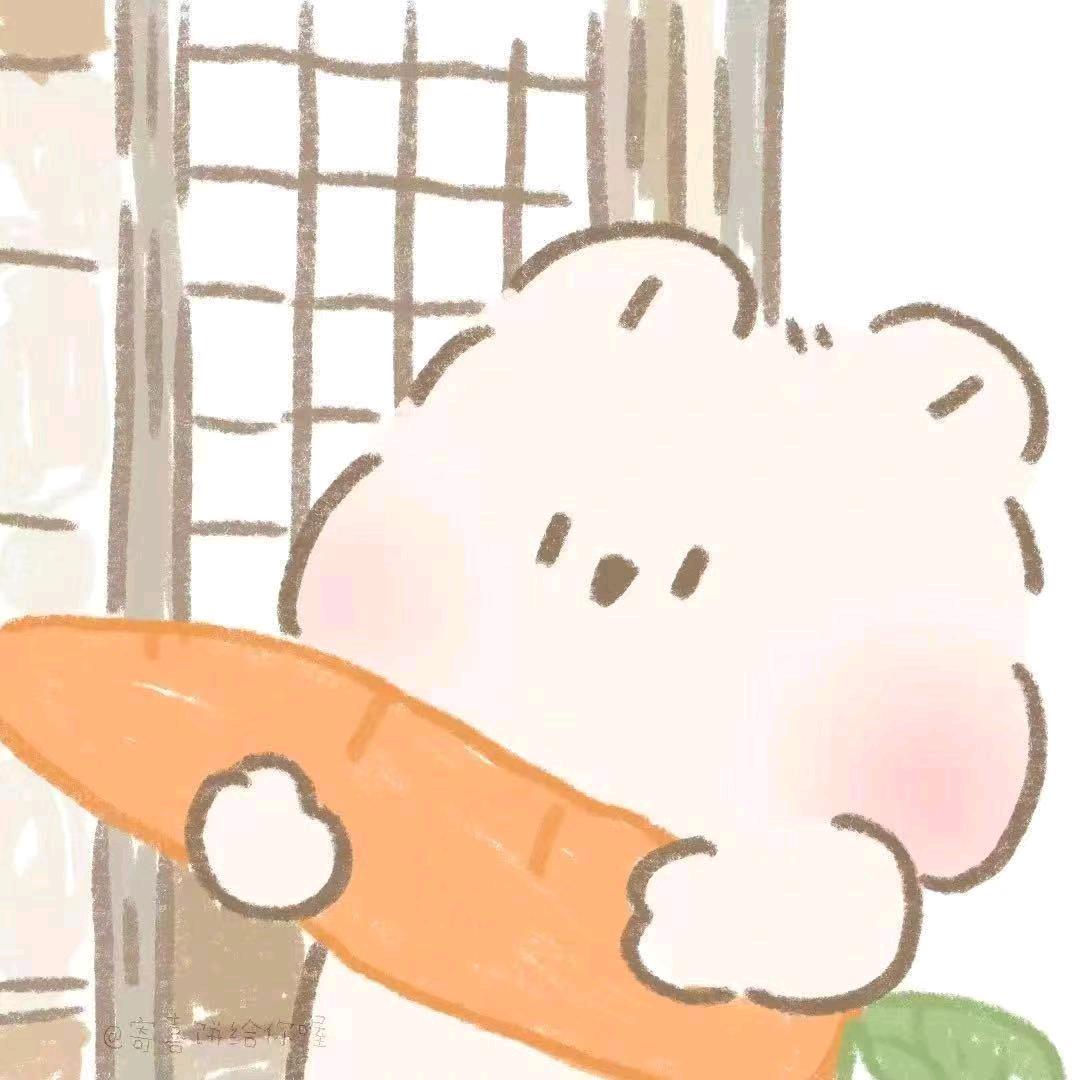 不知名小熊