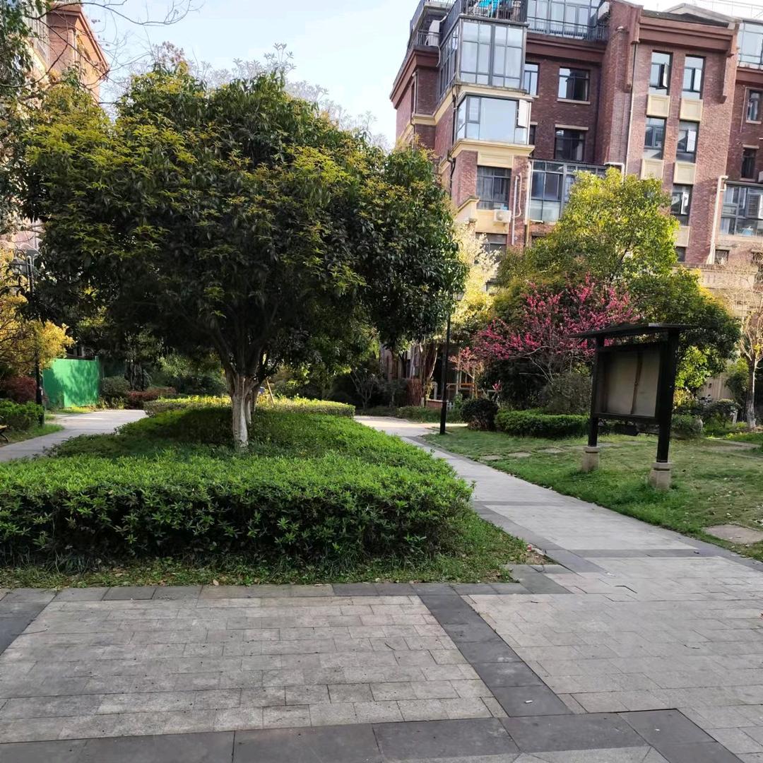 今生有缘胡三姐