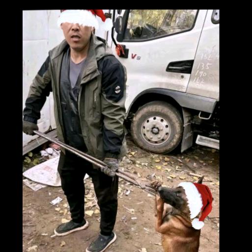 AAA小猫朵朵专业套狗