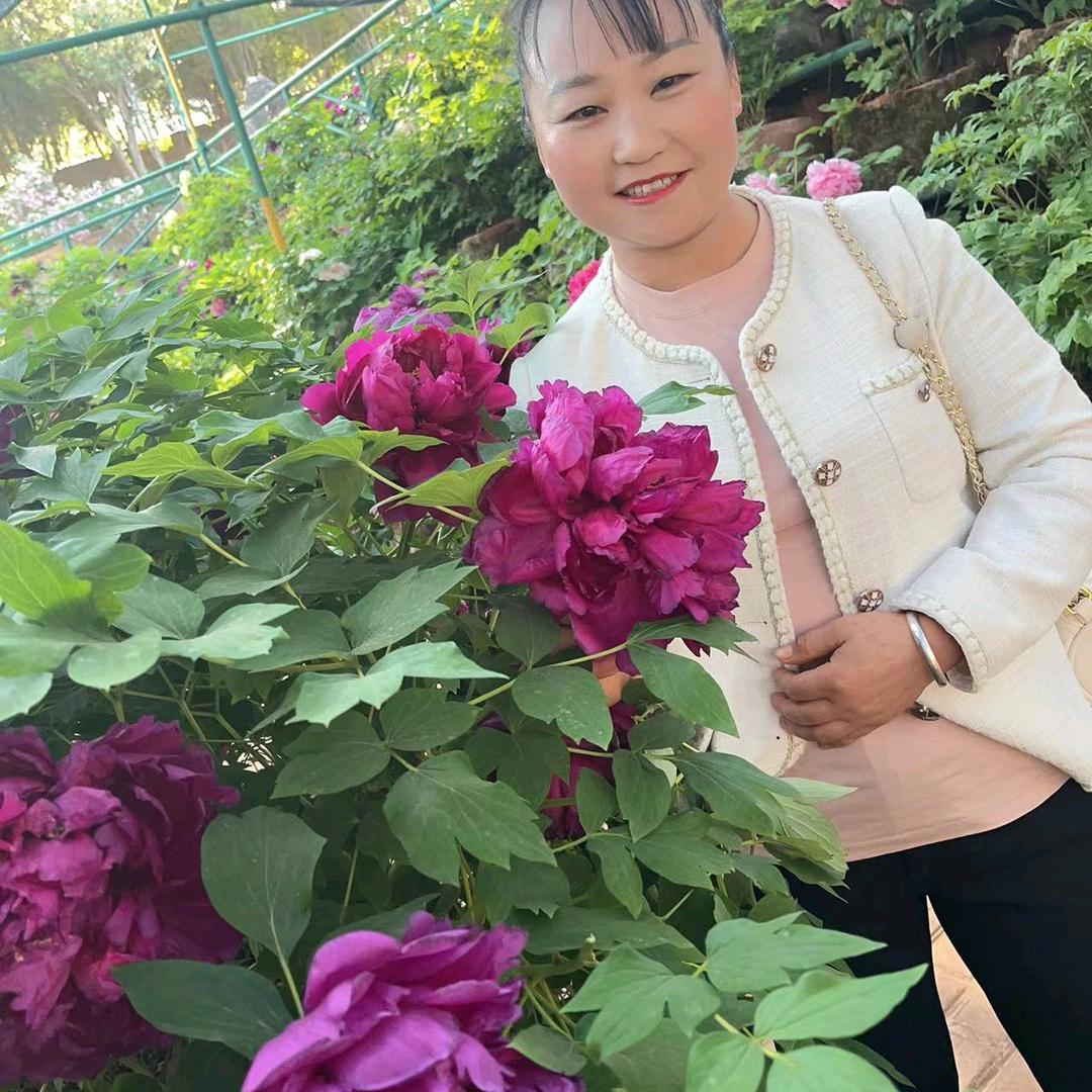 一切都过去吧