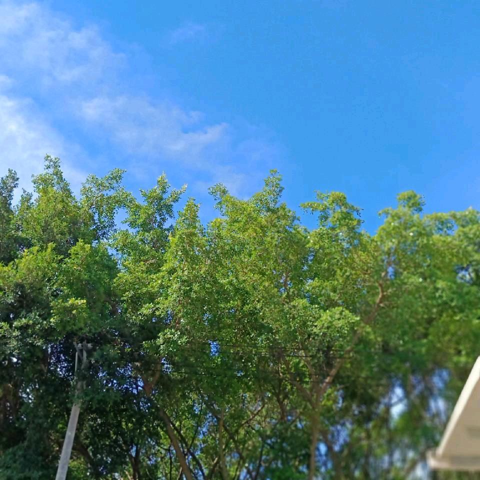 @茫