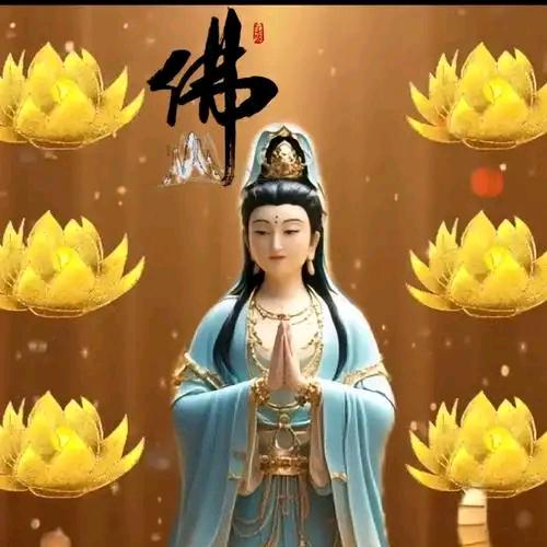 东方雨虹防水，演东