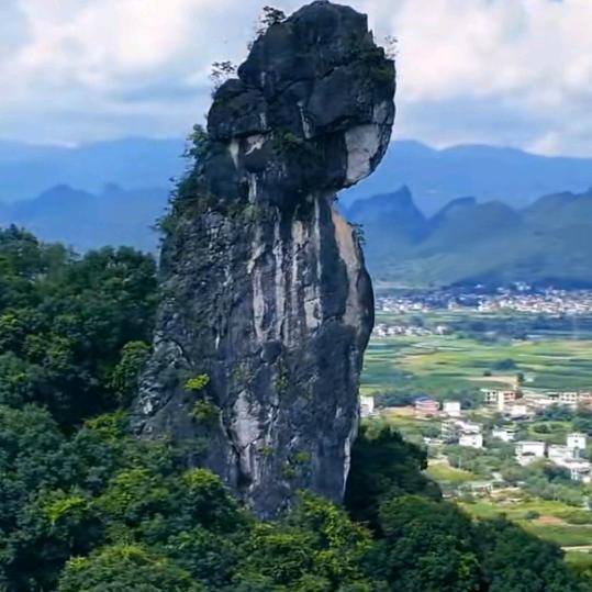 刘金岁月样样红