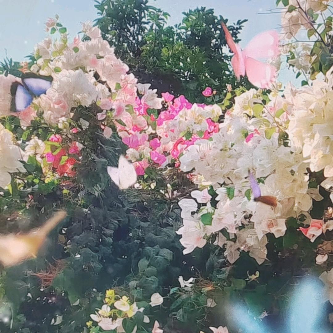 琳琳老师(一1号