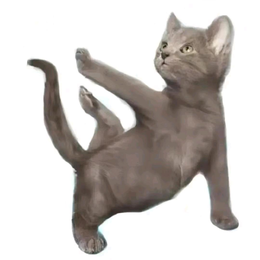 you恍诗（漫威争锋）