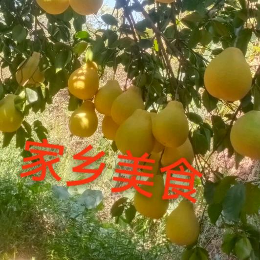 人间烟火