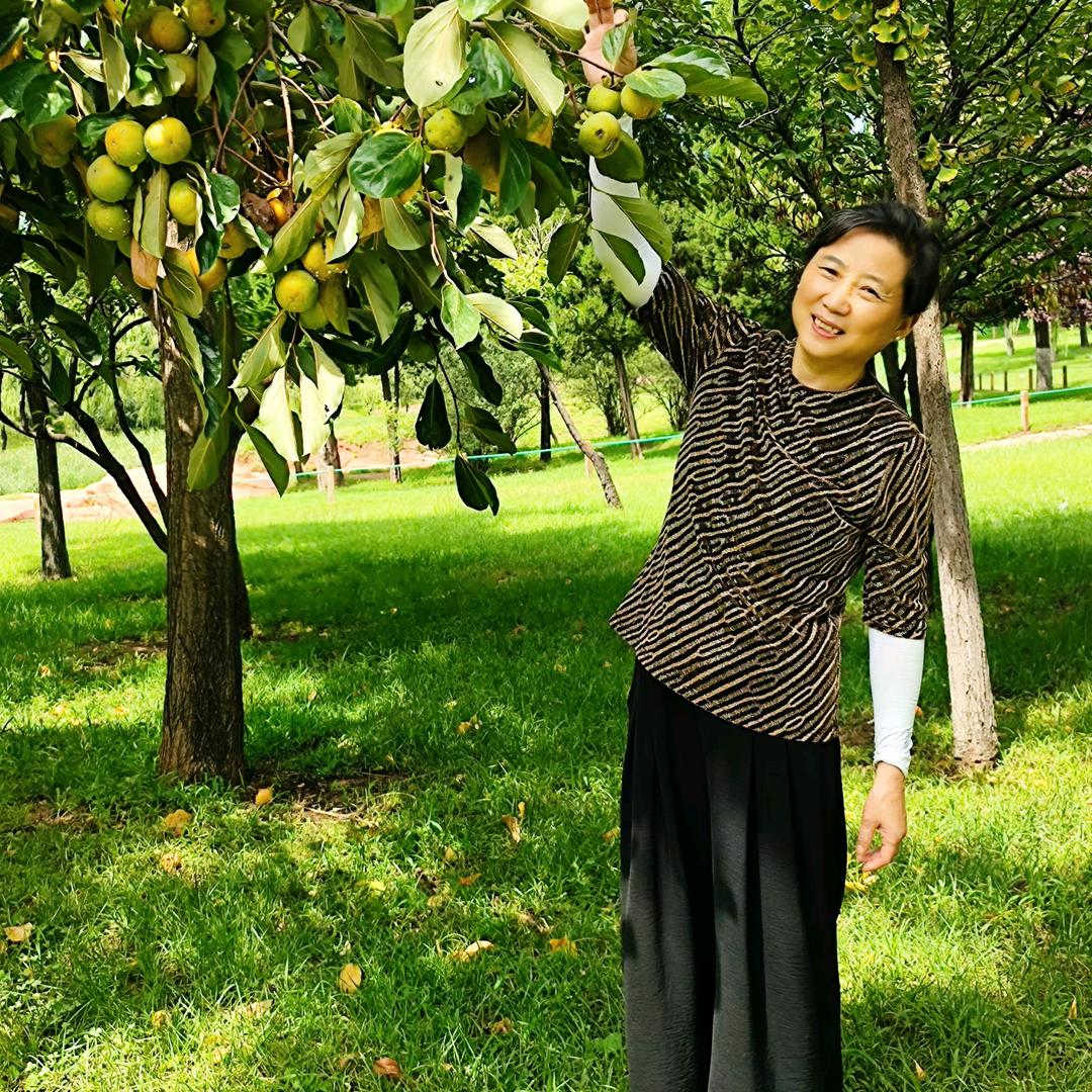 随缘(好物在橱窗)