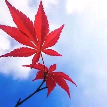 其实，我懂的