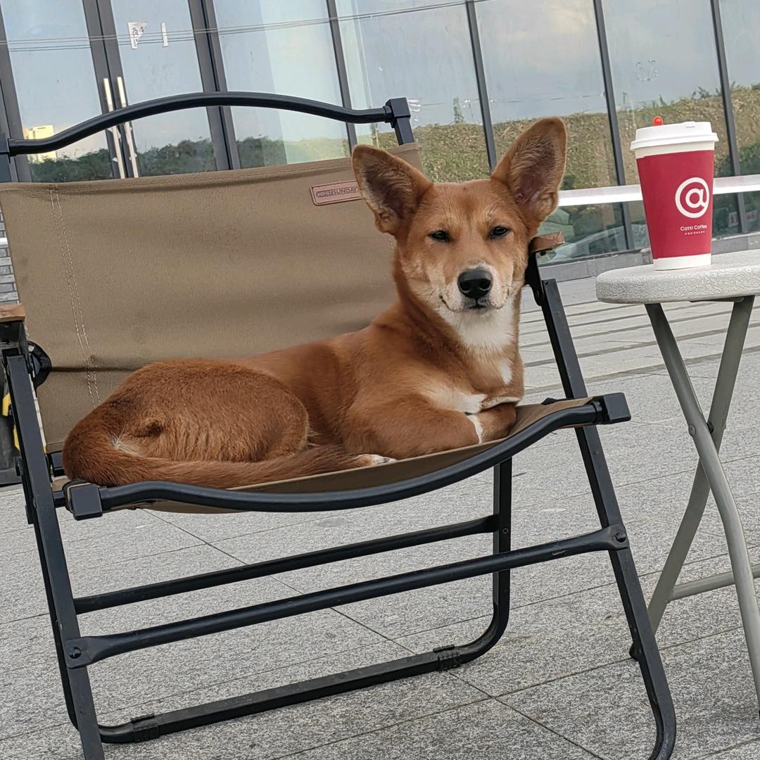 摆一桌 🥘火锅🥩烤肉