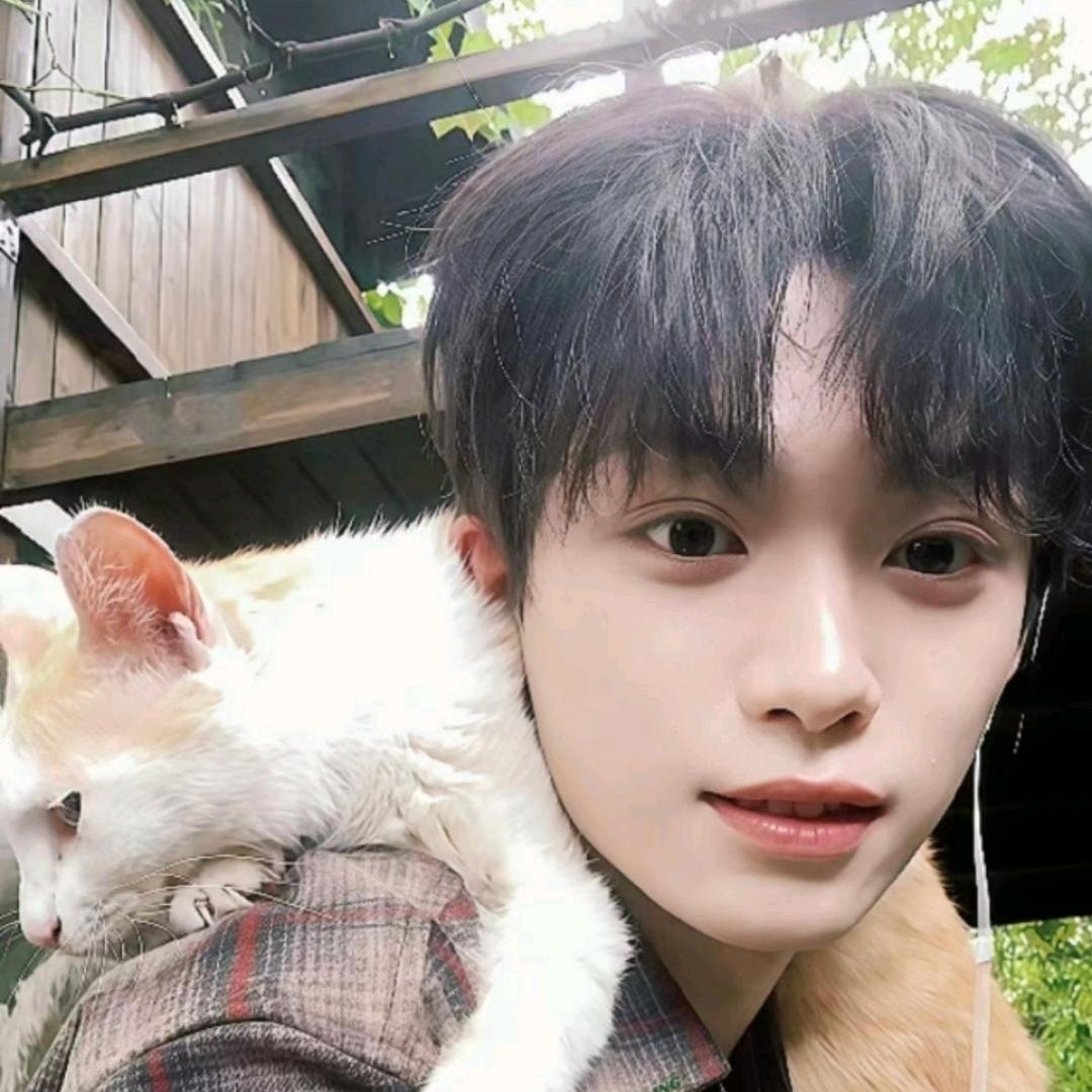 小猫爱鱼