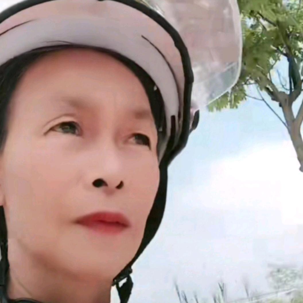 我是莲姐