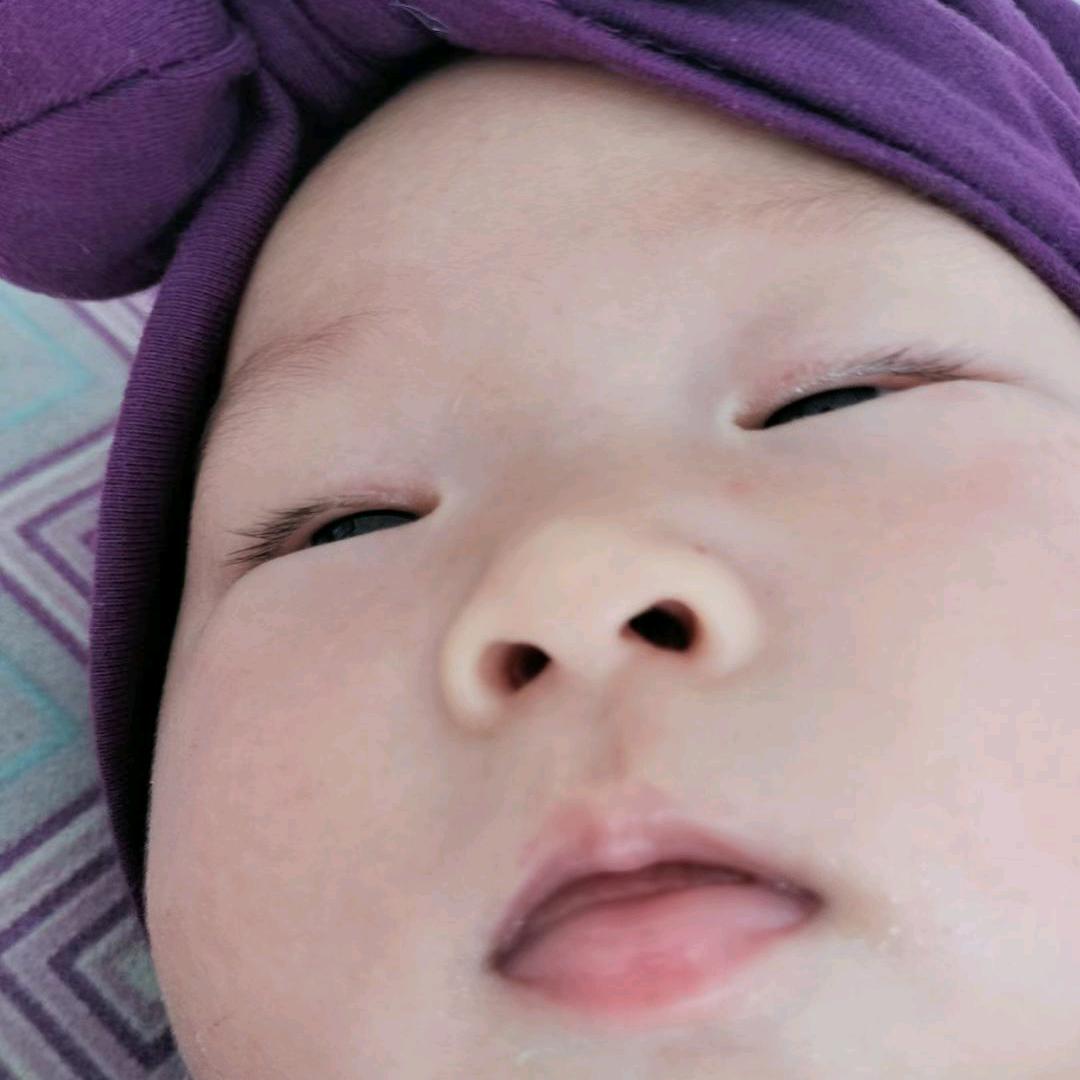 菠萝蜜肉包