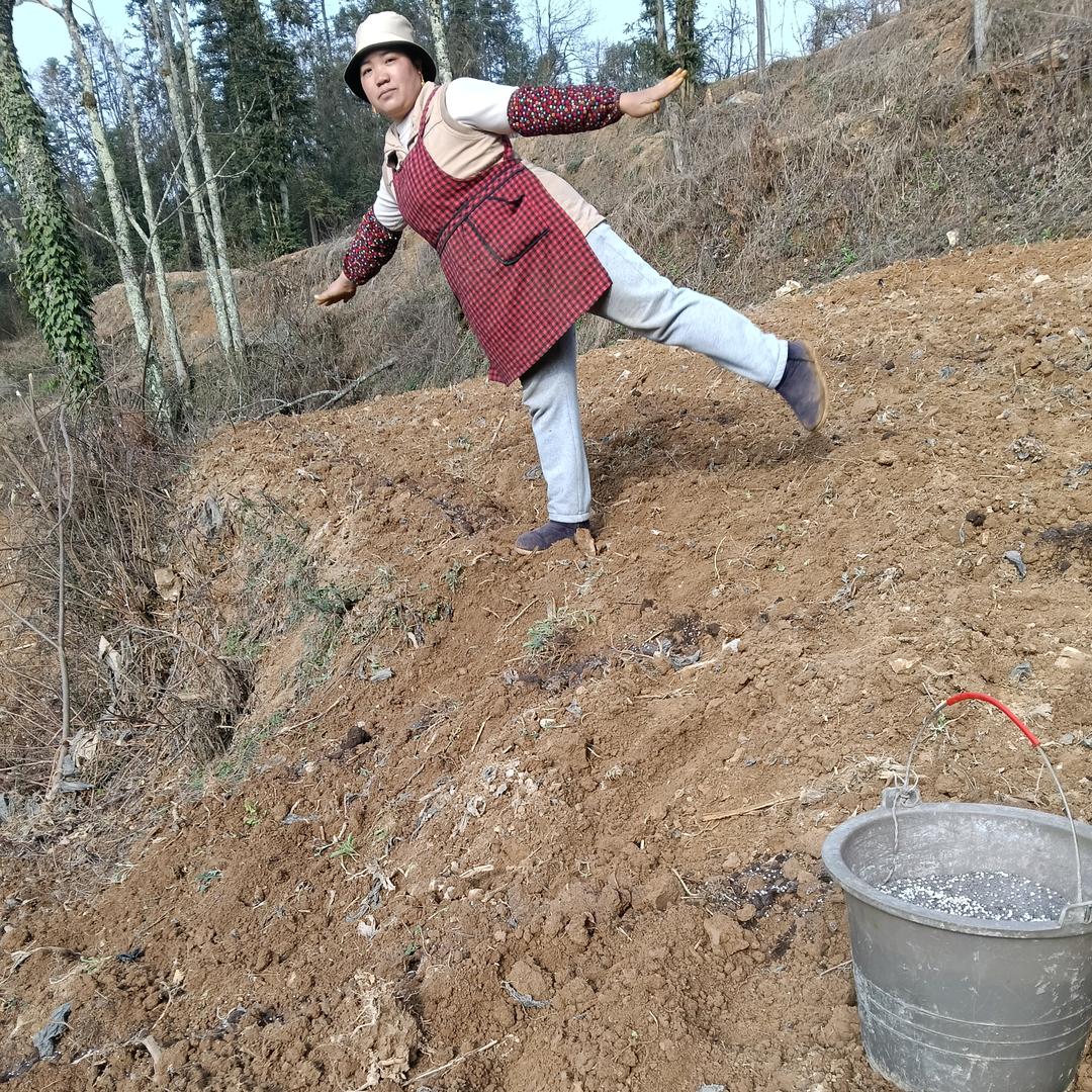 开心六妹