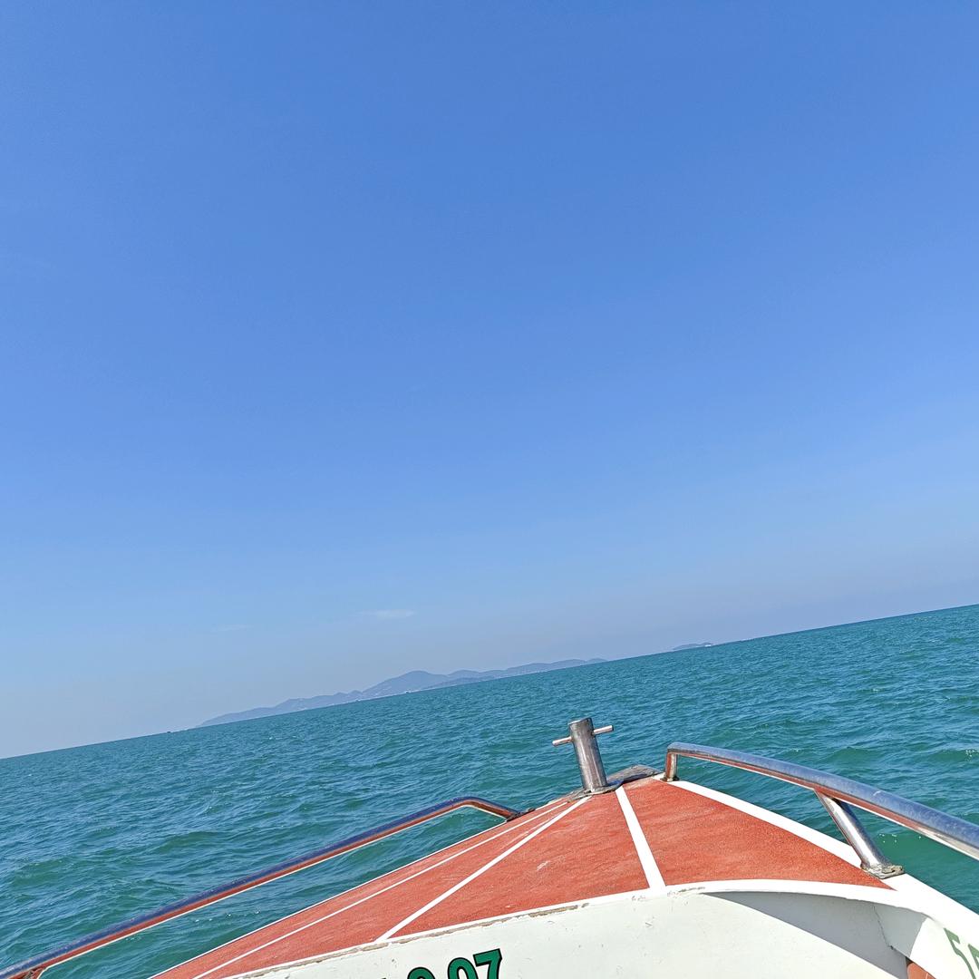 依一优