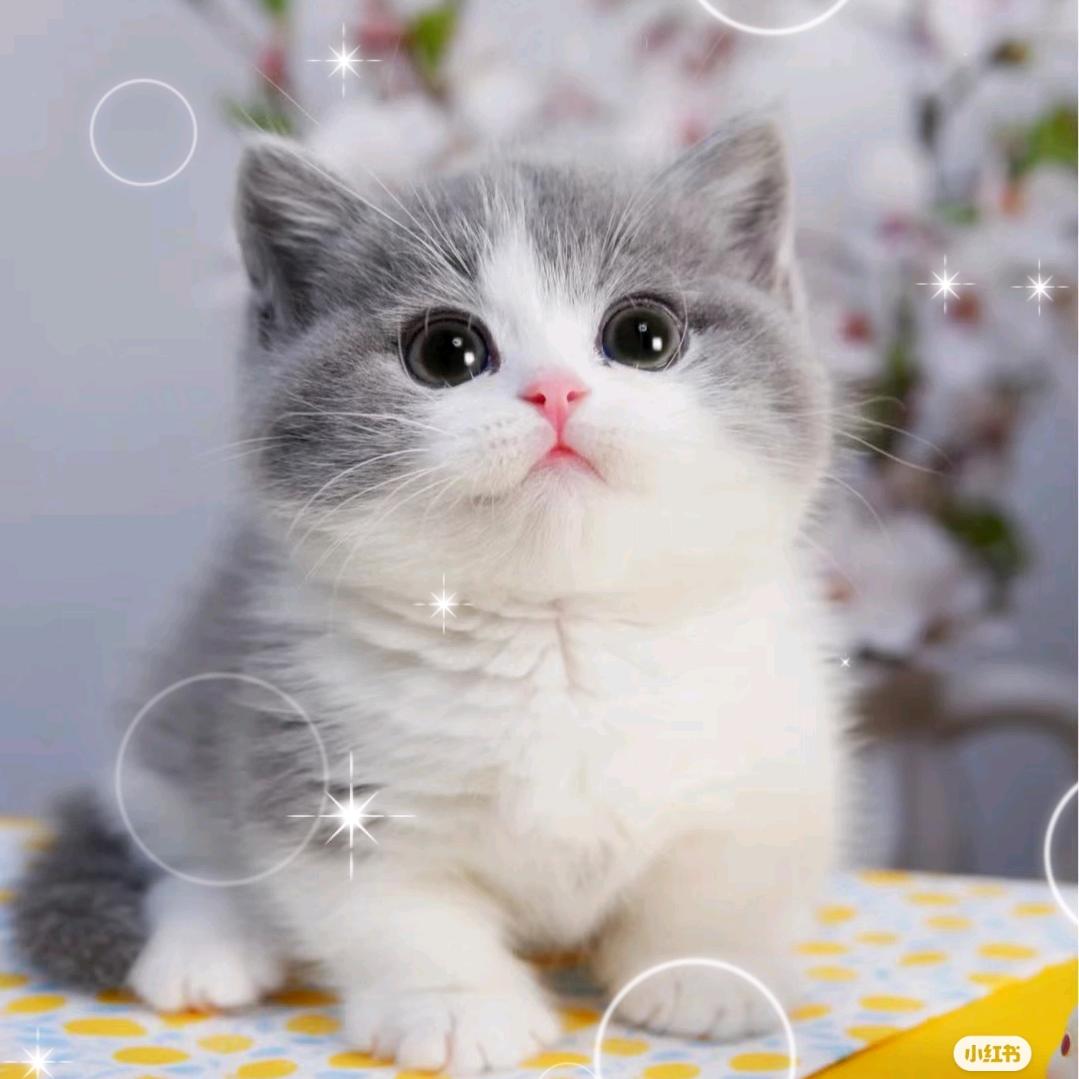 今年一定要减肥