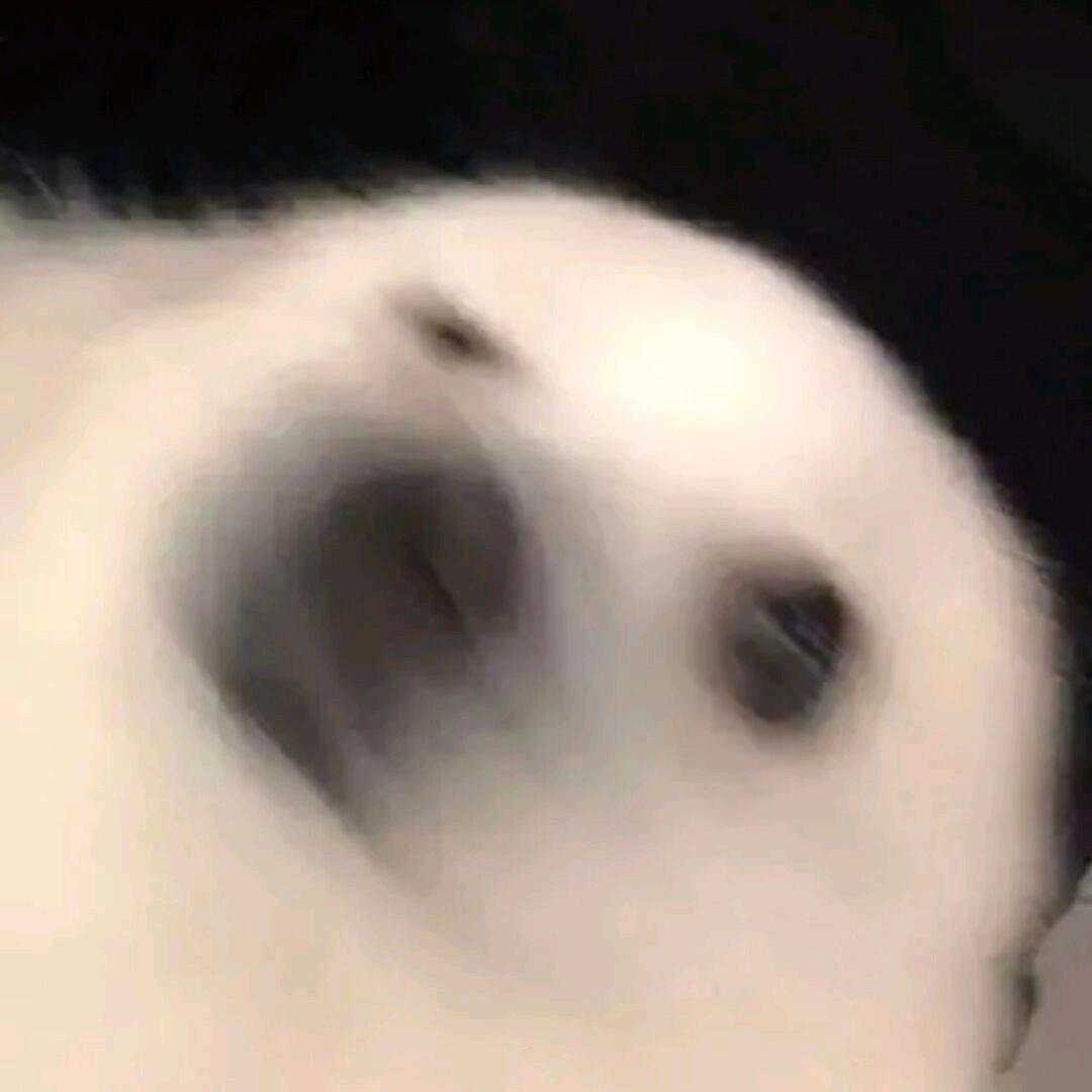 k.