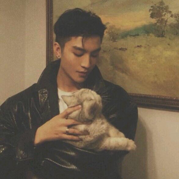 抖音国服阿轲（12点15分）