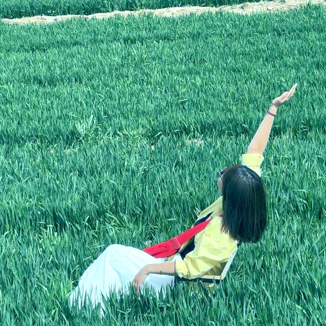 🌻。