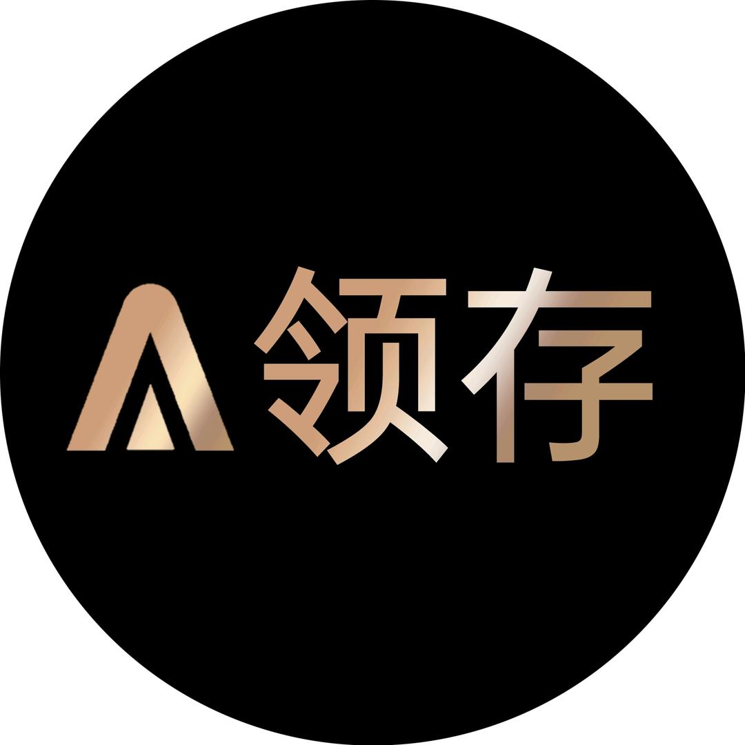 领存电脑外设旗舰店