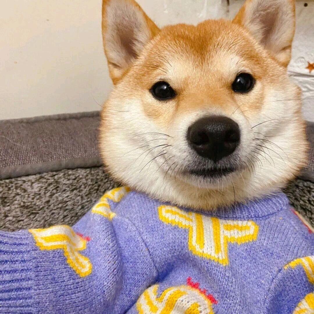 攸醉