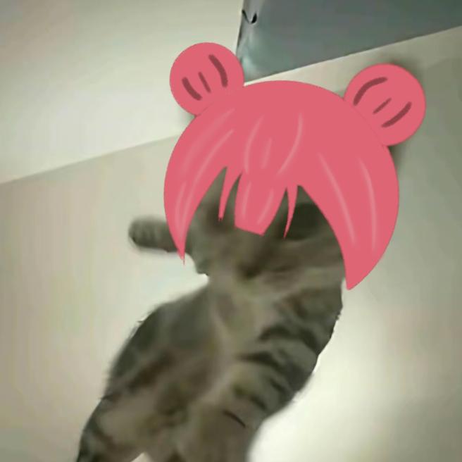安禽ya（9.22生日倒计时）