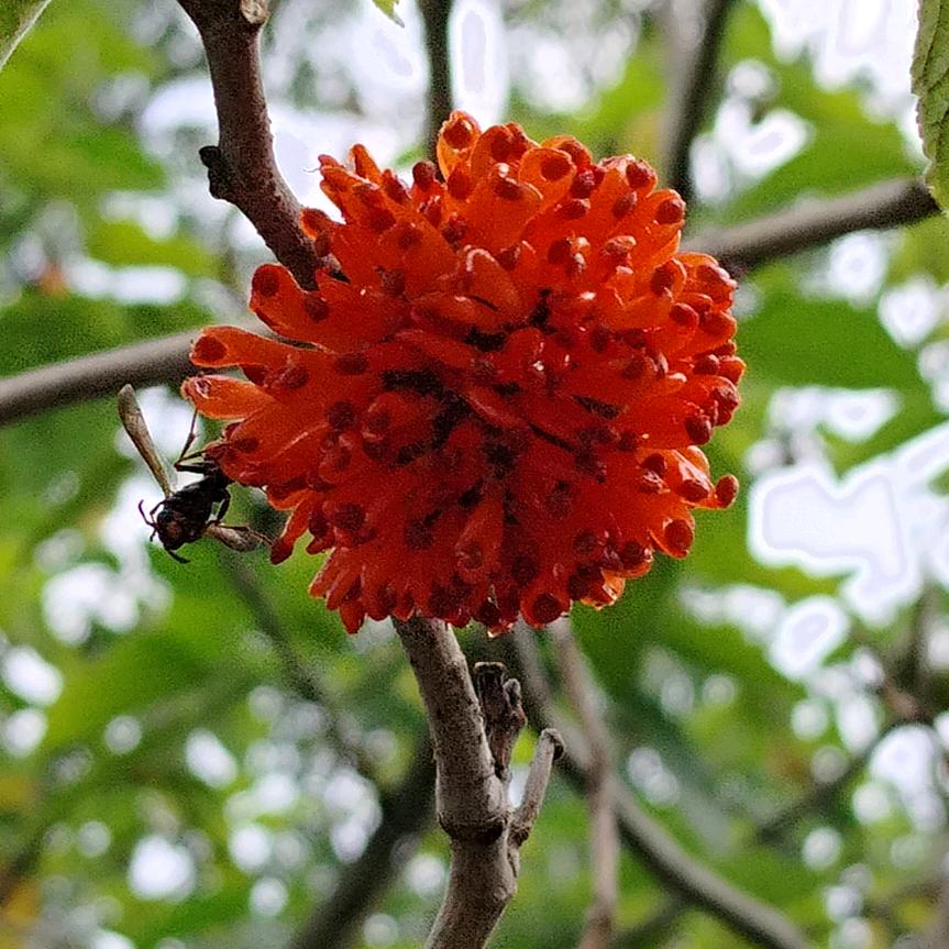 我是一只奋斗的小鸟