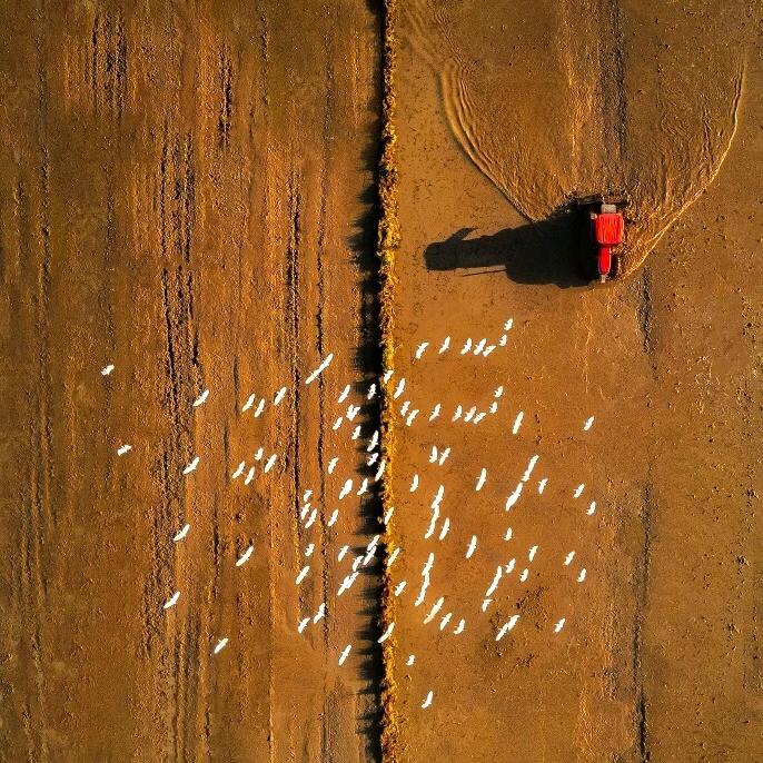 赛穗霏好物分享