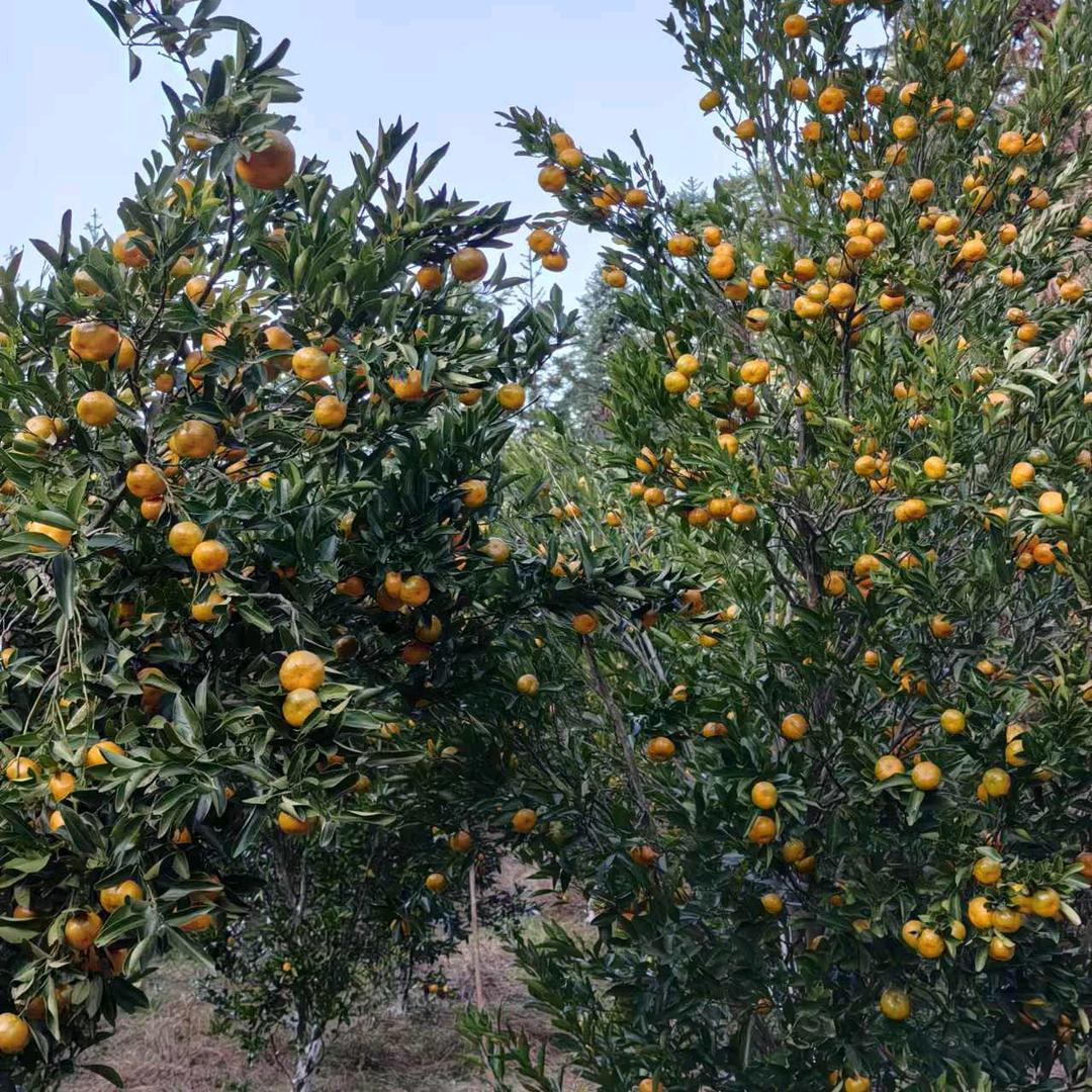 ໑ຼₒ₂₃往ღ᭄后🕊余꧔ꦿ生᭄💞