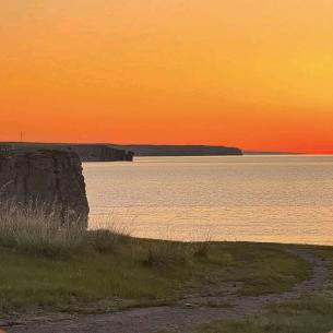 我就是你的益达