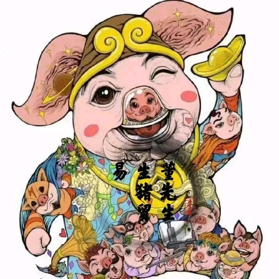 董先生全国生猪调运