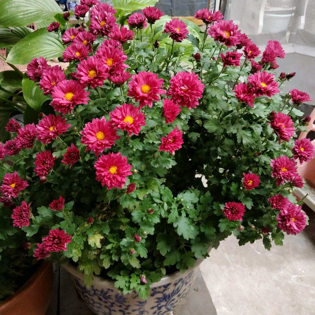 花好月圆，喜阳阳超市