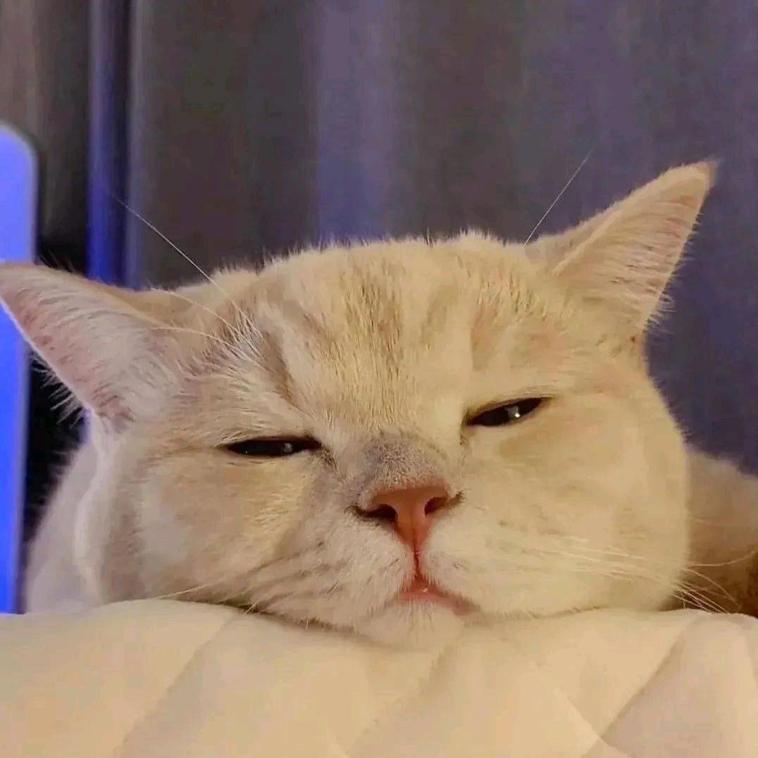 虚弱老登