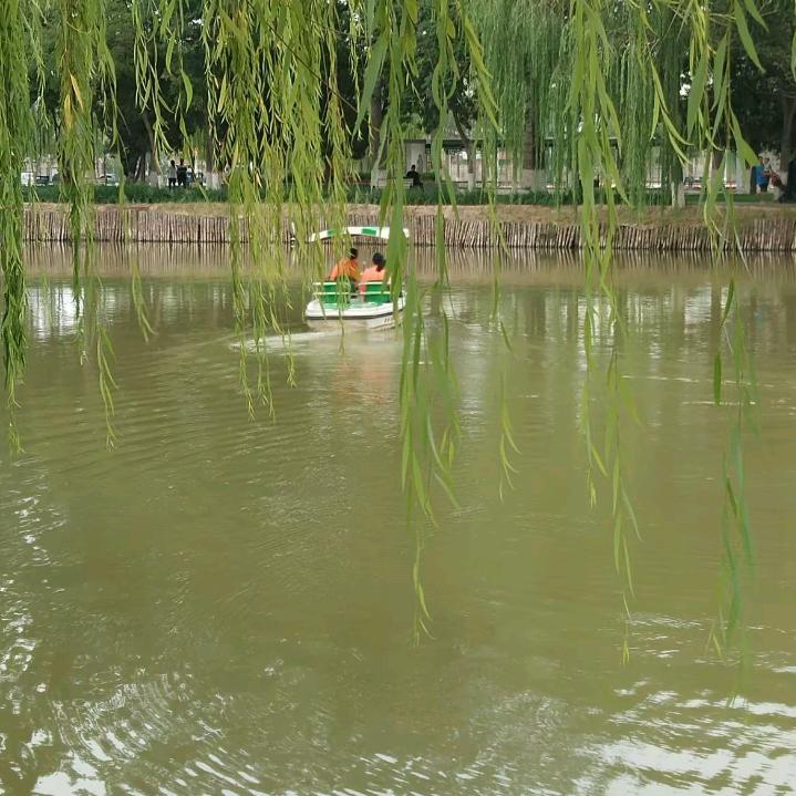 大永