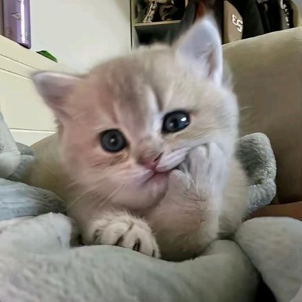 HUhu^