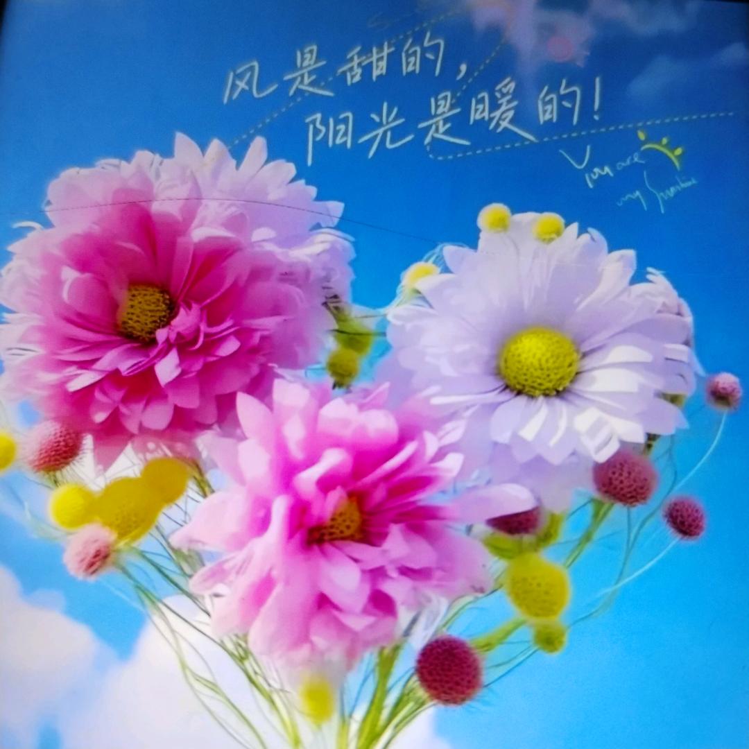 🌜记🌷忆🌸的🌹痕🌸迹🐇🌛