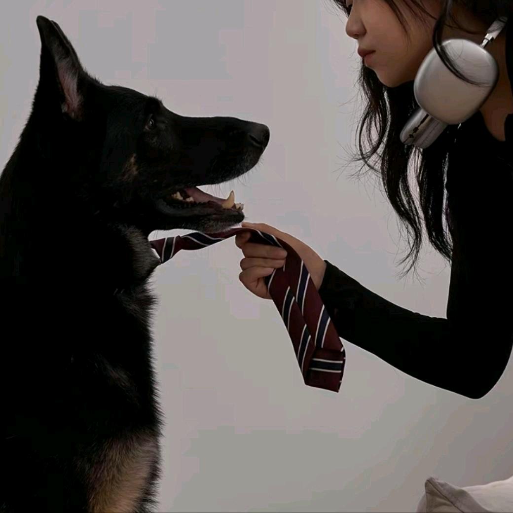 吉省第一深情