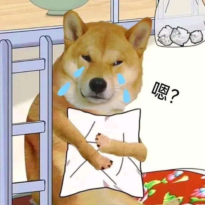 我努力挣钱，你和男朋友省点花