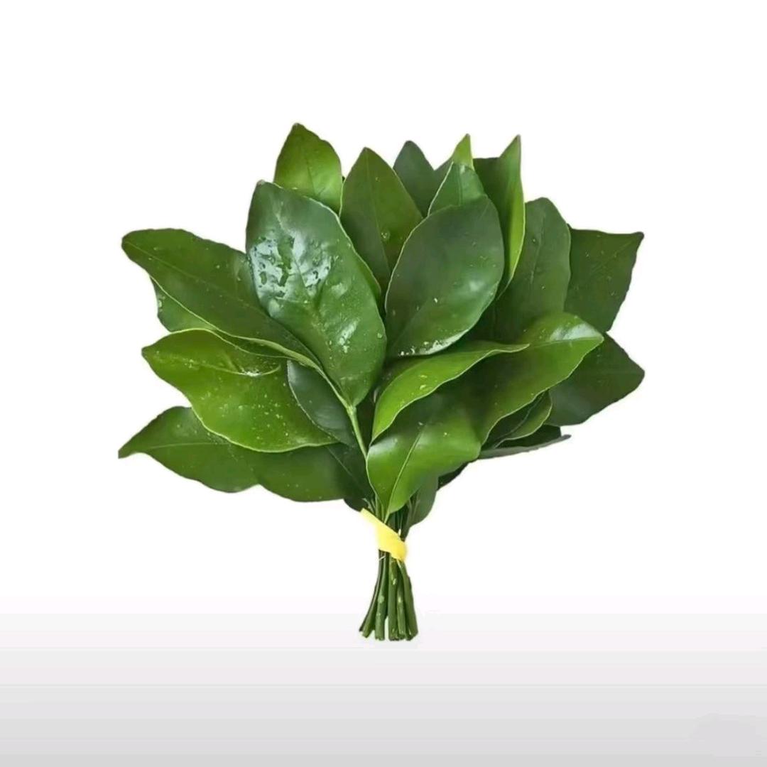 用户16659865900