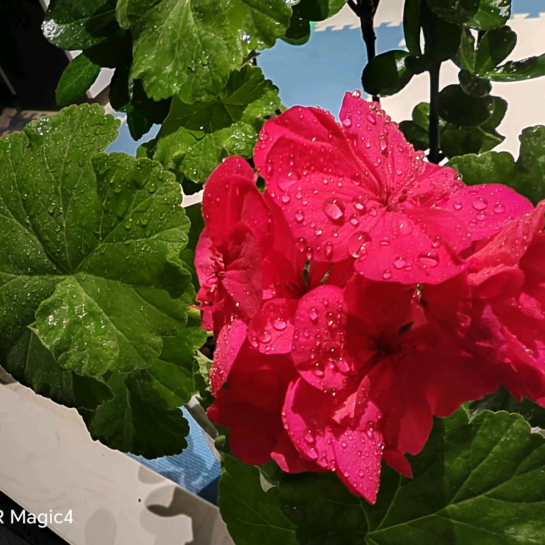 毕节  小李