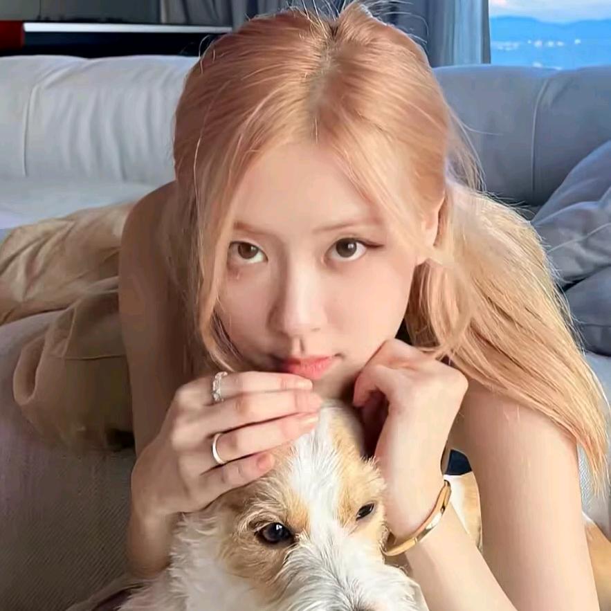 小羊带你吃喝玩乐！