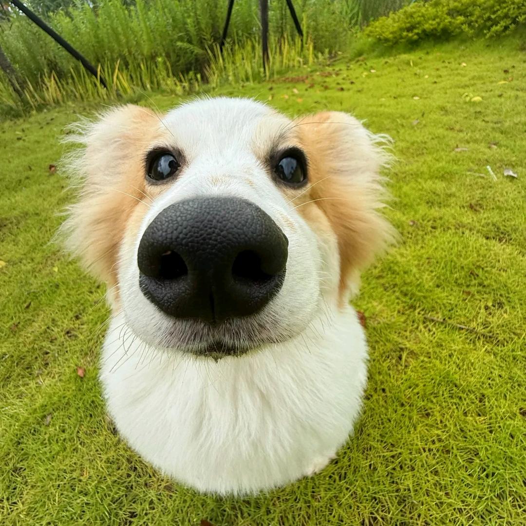 多喜乐🌸⃟֯֯֯࿐