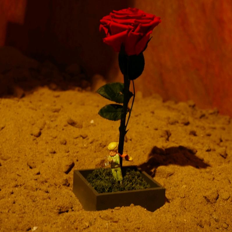 葡萄成熟时²⁴⁷