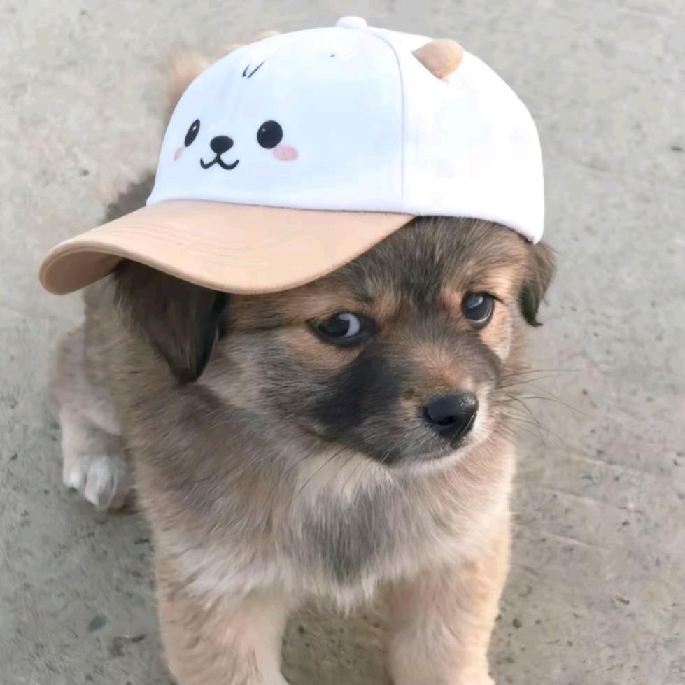 এ杯中烈酒໌ᮨ🚬敬余生🍶དྷ༗（林下）