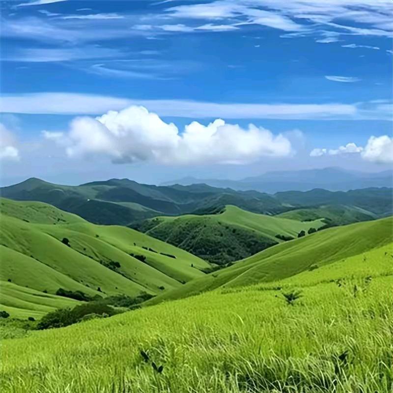 沉稳大叔