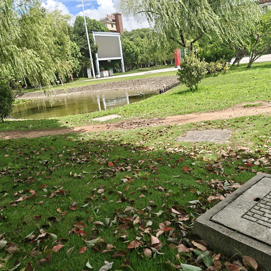 如果有来生我一定和你走在一起