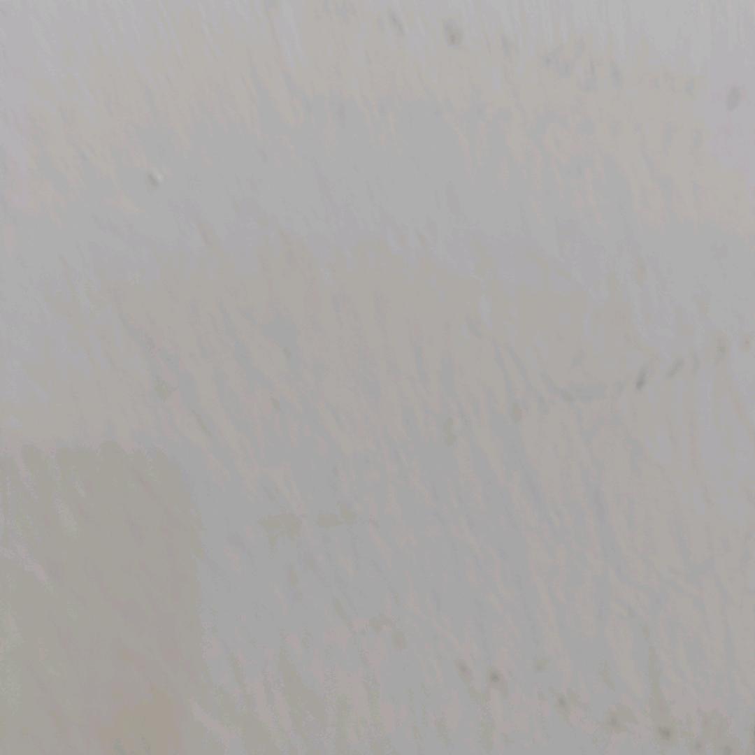 勿雨