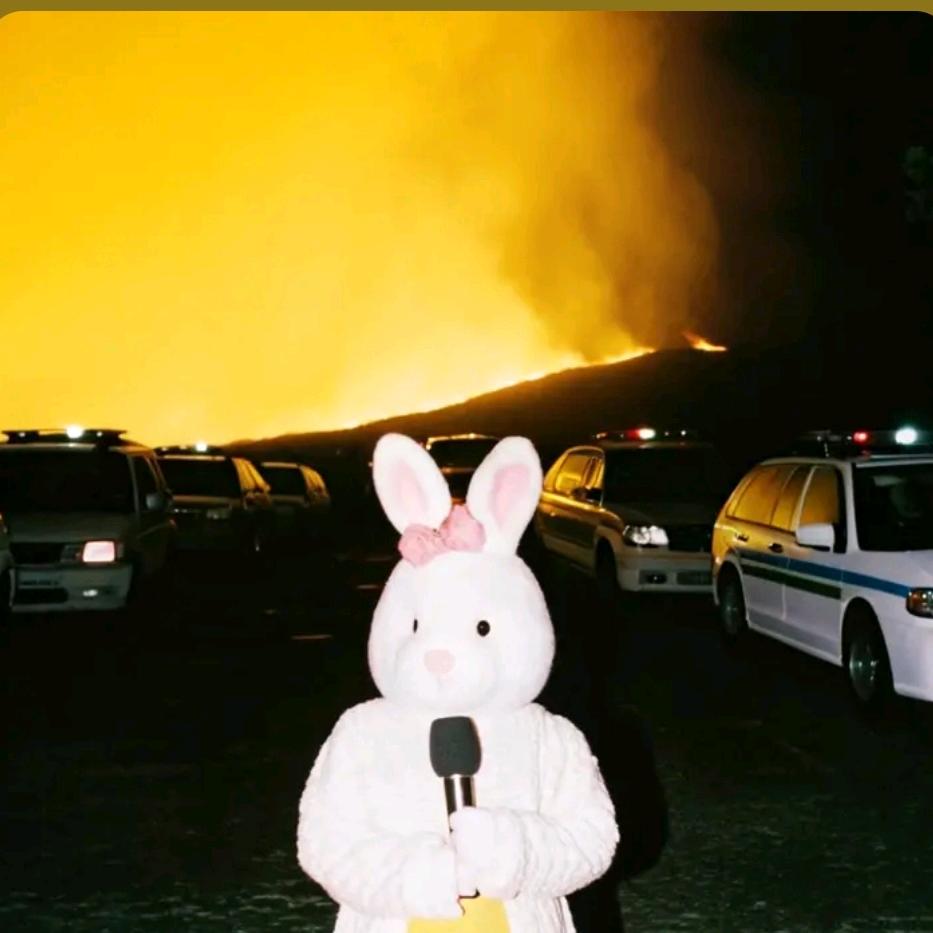 洋芋粑两块钱一个