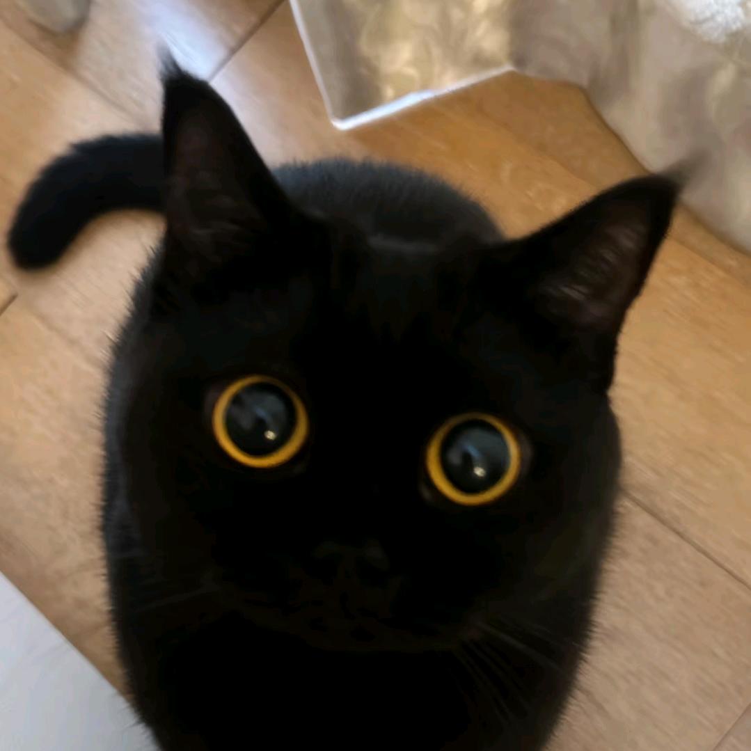 曳（流量回家）